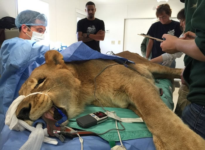 ˹̹һЦָԼĹǳΣգʱһغ