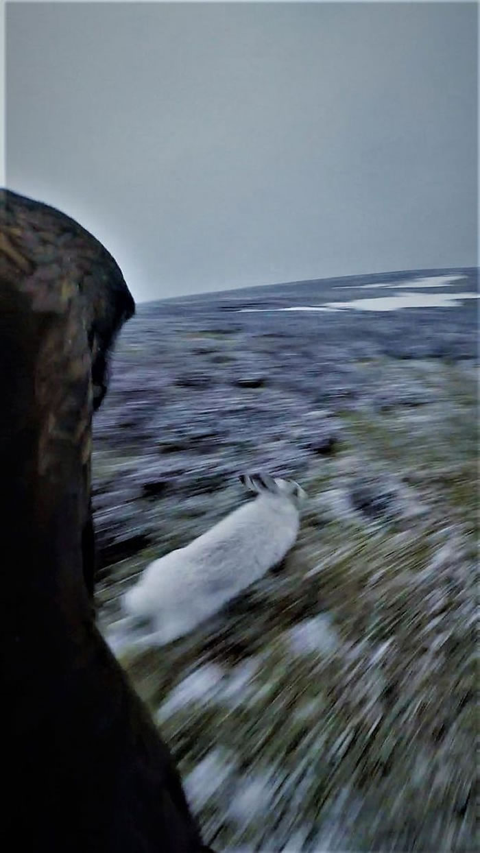 Ӣ����Ӱʦ����ͷ���ڽ�����ĵ��𺳲���ѩ�þ�ͷ