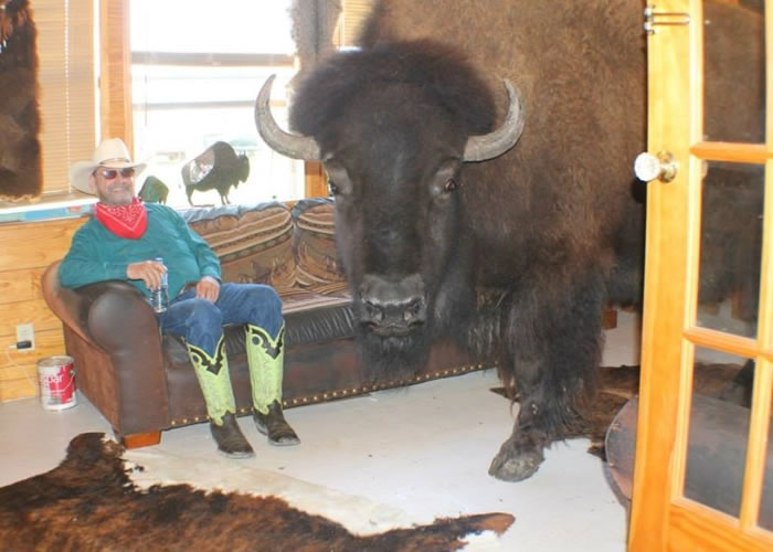 ������˹����Ұ�������ꡣ