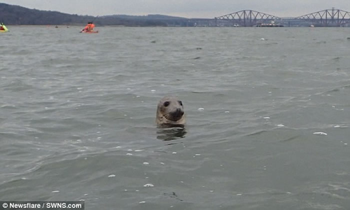 Ӣ�����ӻ�ͧ��������ͧ��㴬��Щ�������