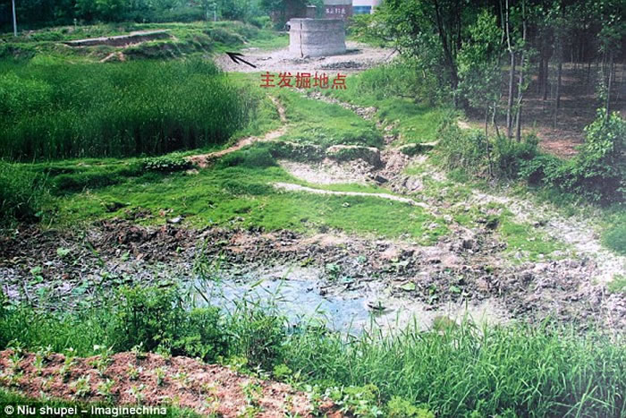 ������ͷ�Ƕ���ۼ�����ֱ���ˡ������ִ��˶Աȣ�����ܹ�ͼ��