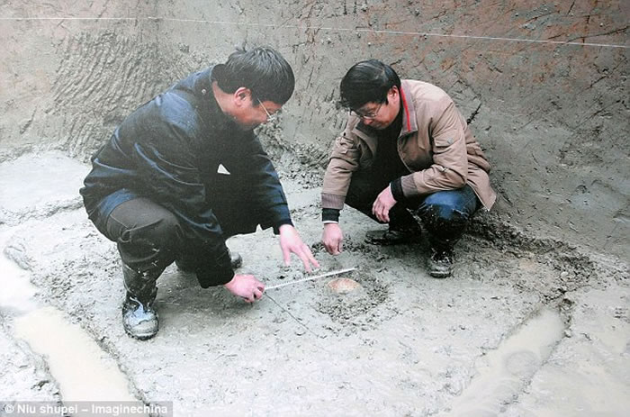 ������ͷ�Ƕ���ۼ�����ֱ���ˡ������ִ��˶Աȣ�����ܹ�ͼ��