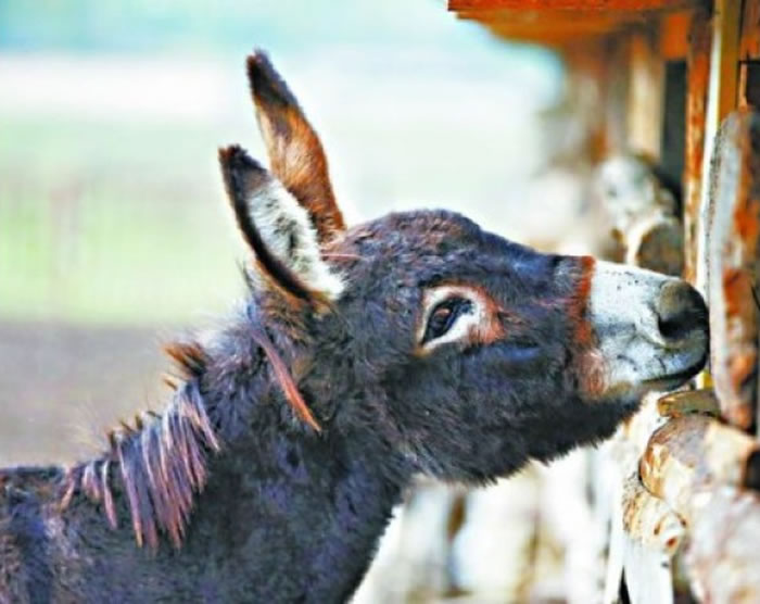 �Ŵ�����������¿��������Ы��ҧ�ˡ�