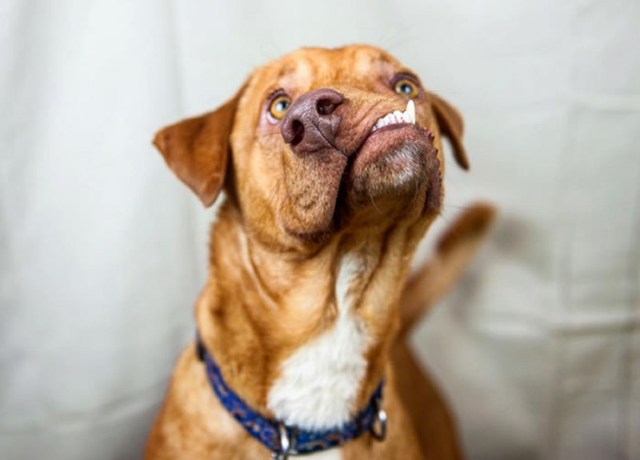 ���ι����ϼ�������㱻���������ػ�����