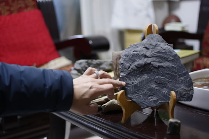 ����ʯ���ˡ��������ϴ�ѧͼ���