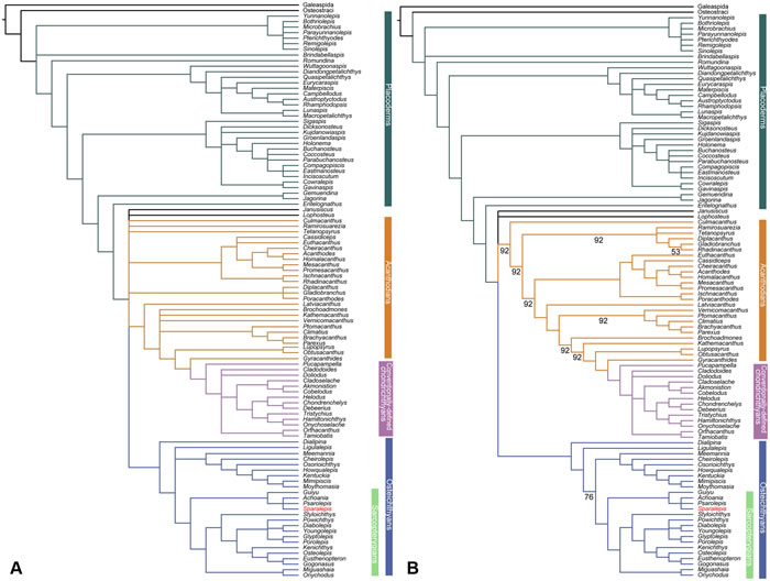 4.2����ǰ����������Ƭ�Ĺ����ࡪ�����ϼ�����