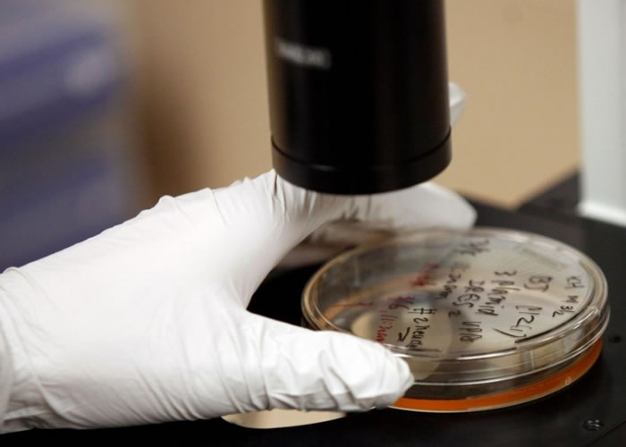 有关疗法从未经过临床验证。