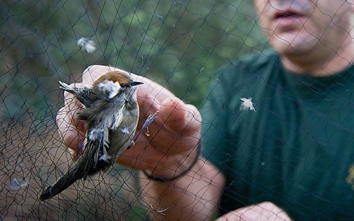 哈珀指摘英政府办事不力。