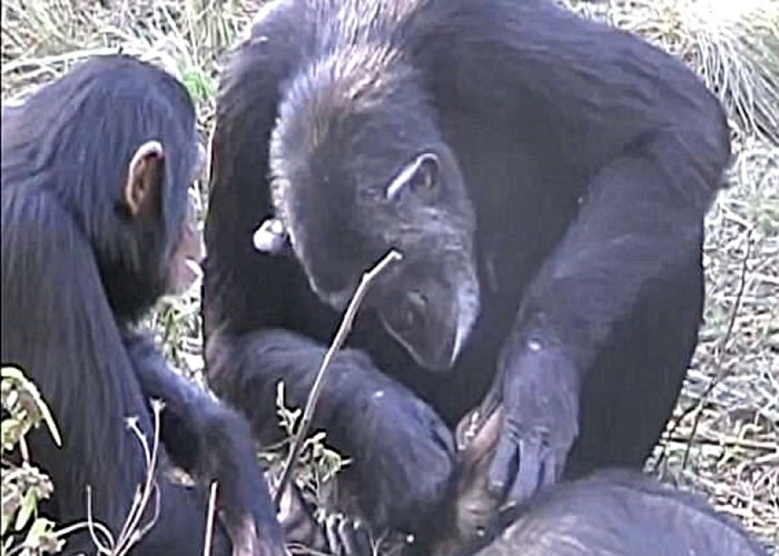 ŵ����Ϊ����ϴ����