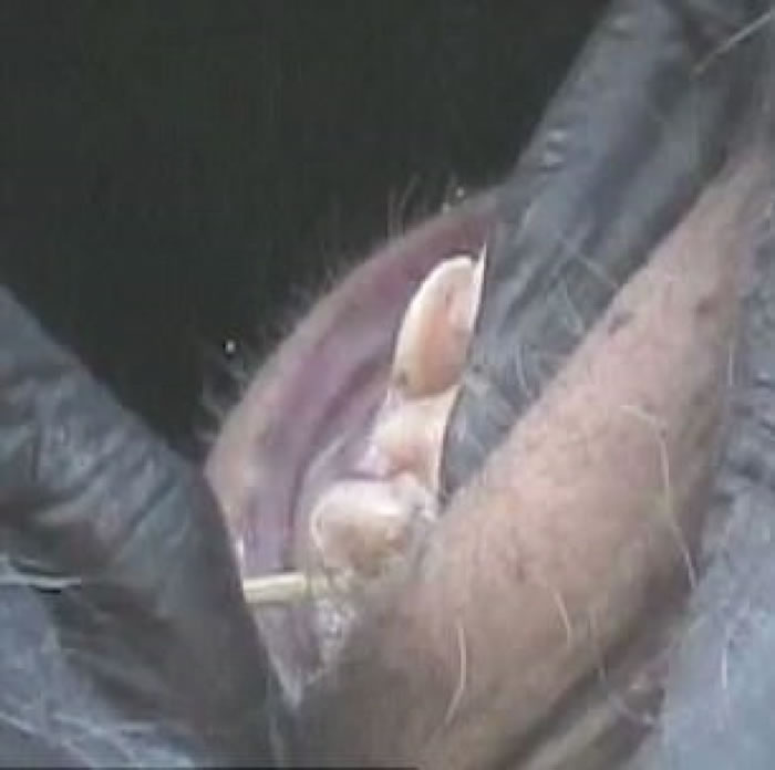 ŵ�����ò������졣