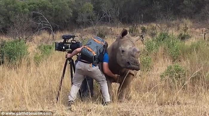 ӰʦϷǲԭʱͻȻֻҰϬţ