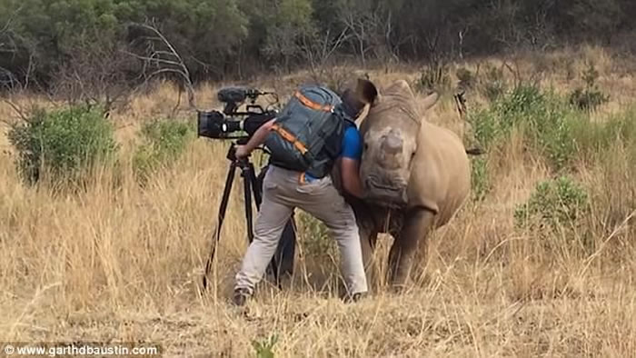 ӰʦϷǲԭʱͻȻֻҰϬţ