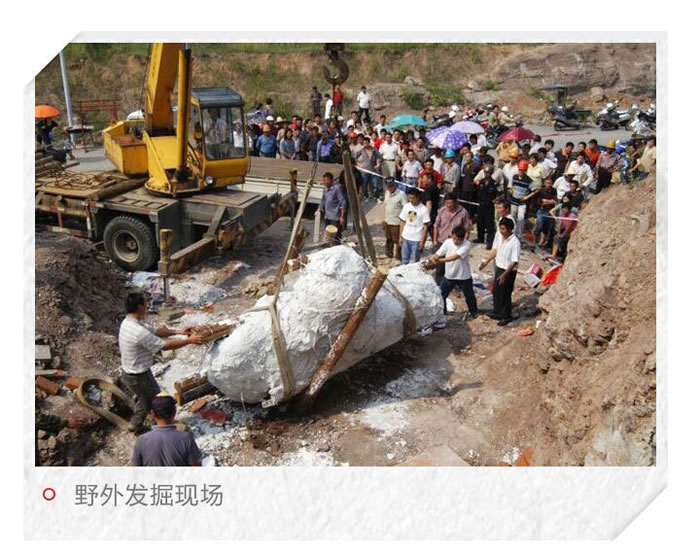 中国东阳龙:一条以浙江东阳命名的恐龙