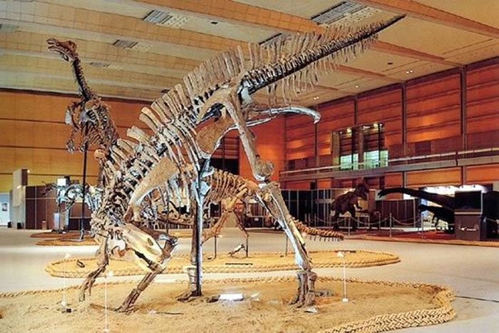 沙俄在中国的最后罪行:盗走中国“第一恐龙”