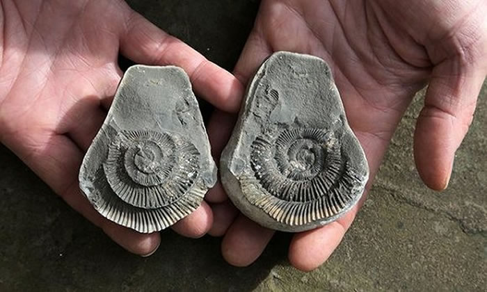 Saltwick�����ɳ̲�Ϸ��ֵľ�ʯ��ͼƬ��Դ��Kevin Rushby for the Guardian