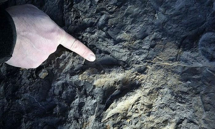 �����Ľ�ӡ��������һ����ֺ��ӡ�ǿ����Ѿ���ʧ�ˡ���λ��Burniston��һ����ʯ�ϡ�ͼƬ��Դ��Kevin Rushby for the Guardian