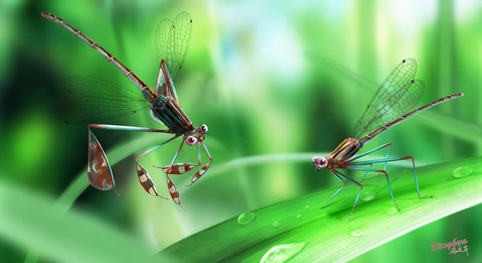 求偶行为复原图