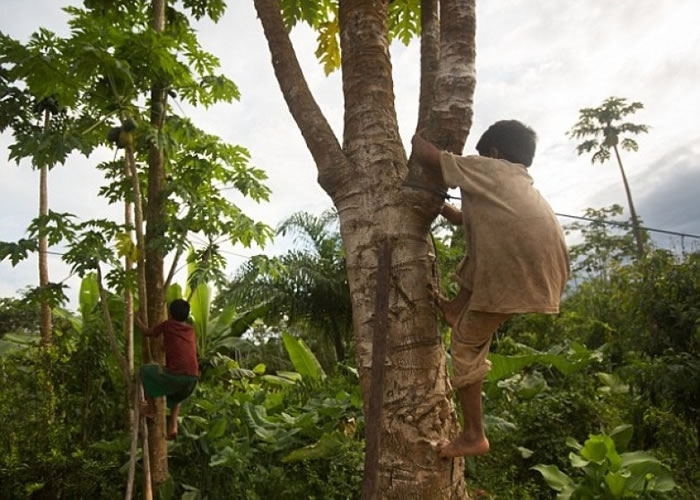 ר��ָ���ڱ��ֻ�Ծ��������ֹ����Ѫ��Ӳ����