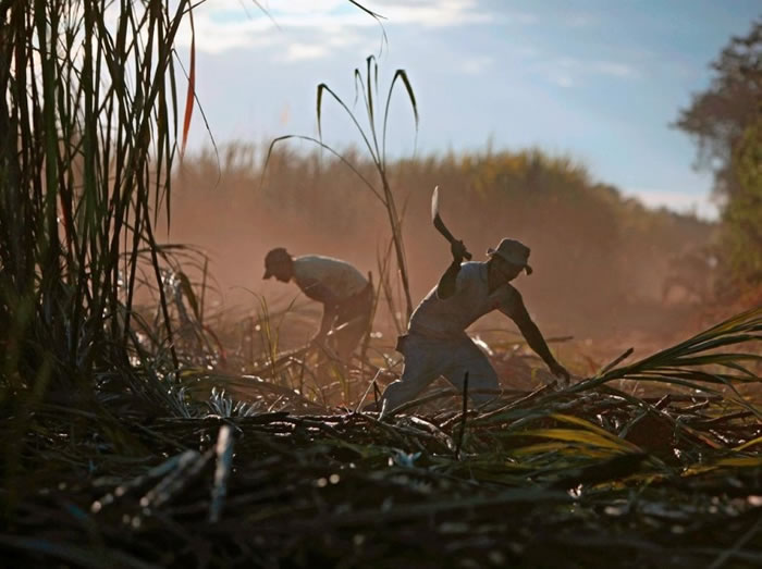 ������������ϵĸ����﹤����