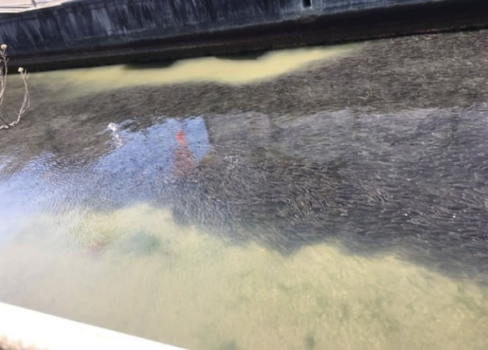 有人近日在北海道拍摄到疑似地震云。