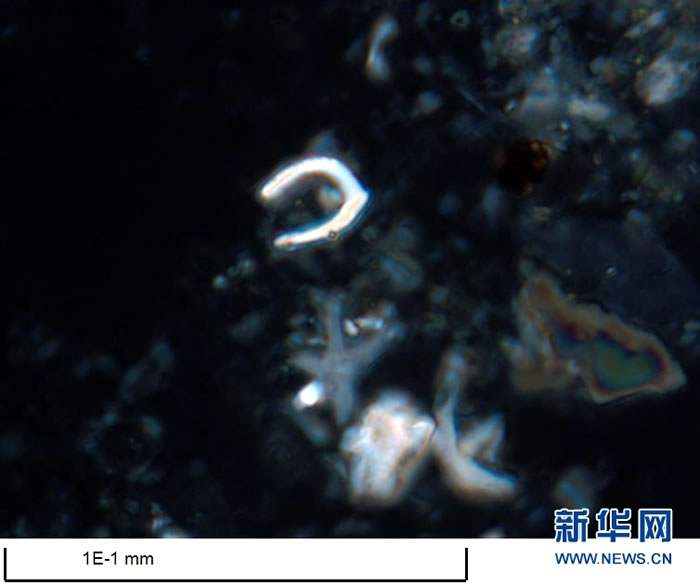 古今尘世知多少,沧海桑田几变迁——在放大1000多倍的显微镜下,“决心”号上的科学家读懂了从南海海底钻取的岩芯中“超微世界”的语言。新华社发(苏翔 摄)