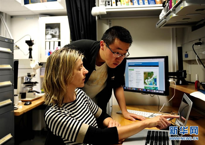 古今尘世知多少,沧海桑田几变迁——在放大1000多倍的显微镜下,“决心”号上的科学家读懂了从南海海底钻取的岩芯中“超微世界”的语言。新华社发(苏翔 摄)