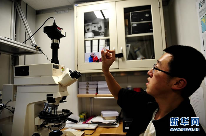 古今尘世知多少,沧海桑田几变迁——在放大1000多倍的显微镜下,“决心”号上的科学家读懂了从南海海底钻取的岩芯中“超微世界”的语言。新华社发(苏翔 摄)