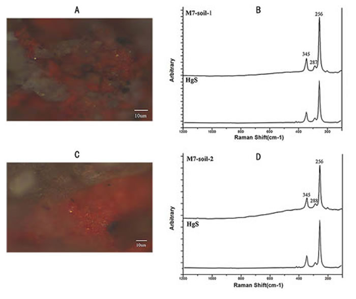 ͼ2  ׷ɫϣac׷ʾɫɰb dͼ