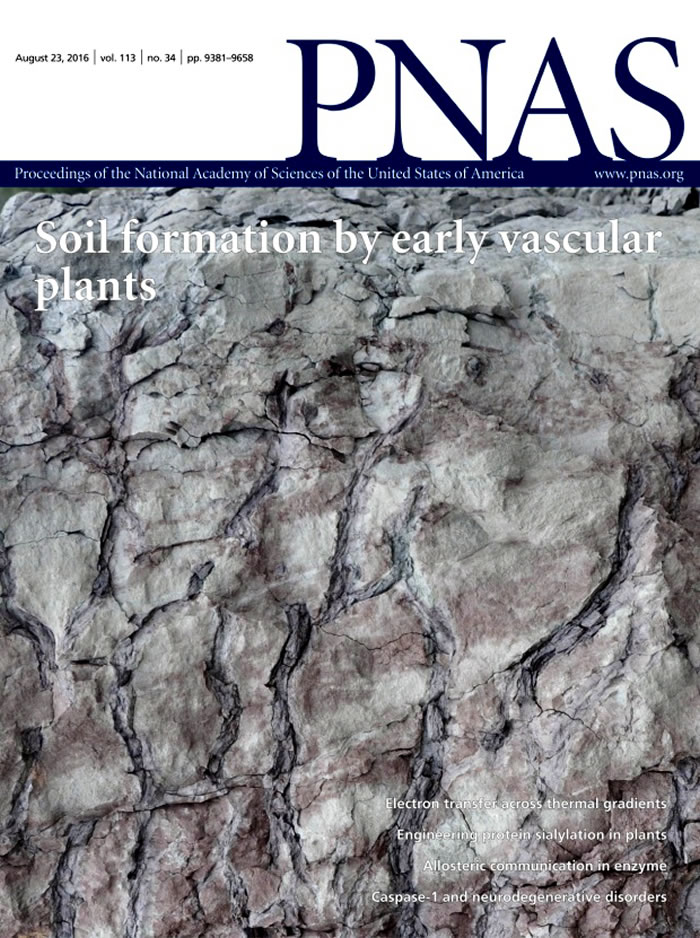 ��������ֲ���ϵ�ٽ������γɼ�������òת��