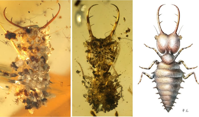 ���Ѽ������з���ϵ������αװ��Ϊ����ԭʼ������ữ��Դ