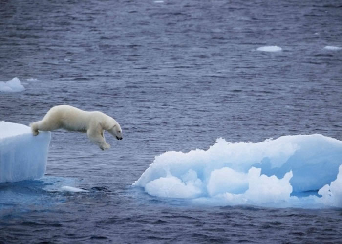 气候变化对生态环境造成巨大影响。