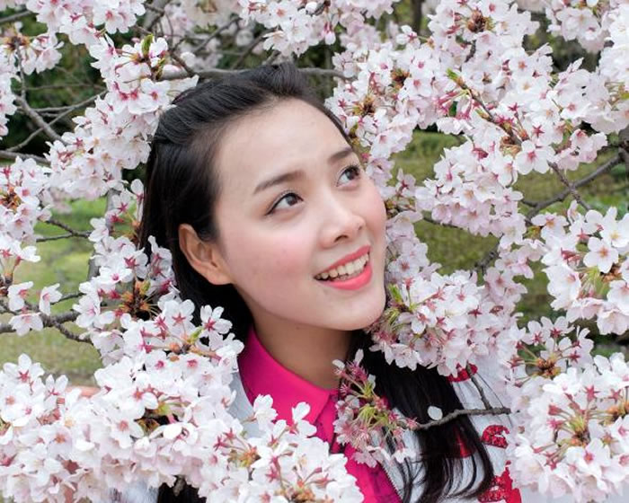 一位中国游客在樱花丛中照相,地点在千鸟渊,东京皇居西北侧的护城河。 Photograph by Albert Bonsfills