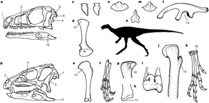 ����Ȼ����־���ڷ��棺������ϵ�¼�˵