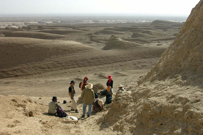 这是自早新生代以来,由于印度与亚洲板块的相撞、青藏高原不断上升以及持续干旱化的结果。