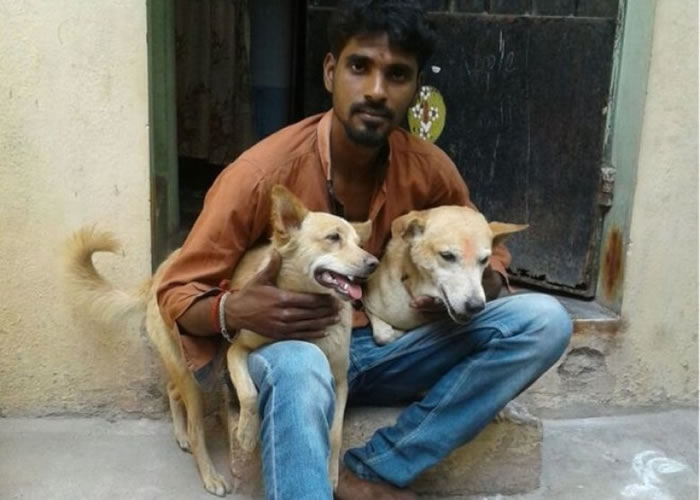 ��ֻ���˹���ͼ����Ϊ����Ӣ�۹���