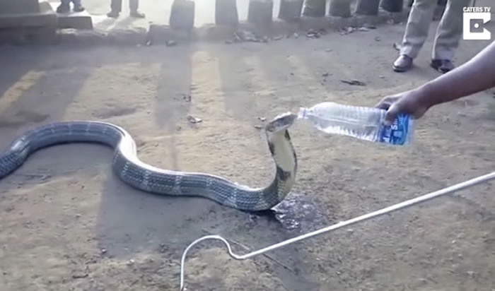 ӡ���ϲ���ׯ12Ӣ�߳��۾����ߺ����Ҳ���ˮ�� ��Ԯ��Ա�ÿ�Ȫˮι