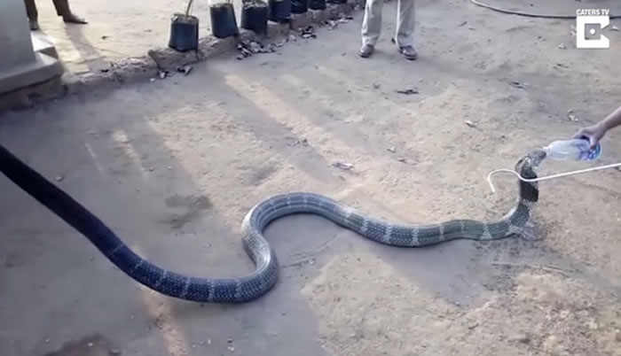 ӡ���ϲ���ׯ12Ӣ�߳��۾����ߺ����Ҳ���ˮ�� ��Ԯ��Ա�ÿ�Ȫˮι