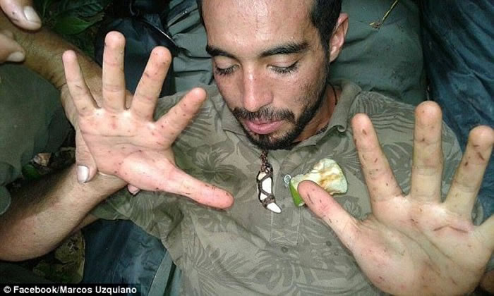 ����ά������ѷ�����ο�����ʧ�پ��죺�Ǻ��Ӿ����ң�