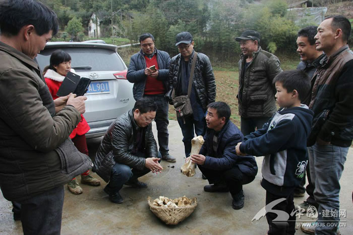 湖北省恩施州建始县红岩寺镇金子墩村发现数十万年前犀牛化石