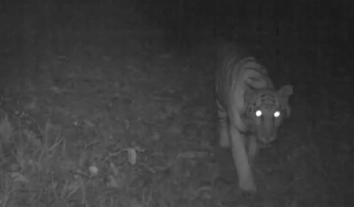 ̩�������������2016���ĵ�4ֻĸ�ϻ���6ֻС�ϻ� ֤ʵ�Ǳ��پ��ֵ�ӡ֧��