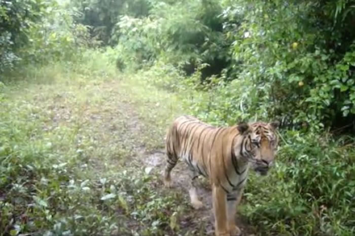 ̩�������������2016���ĵ�4ֻĸ�ϻ���6ֻС�ϻ� ֤ʵ�Ǳ��پ��ֵ�ӡ֧��