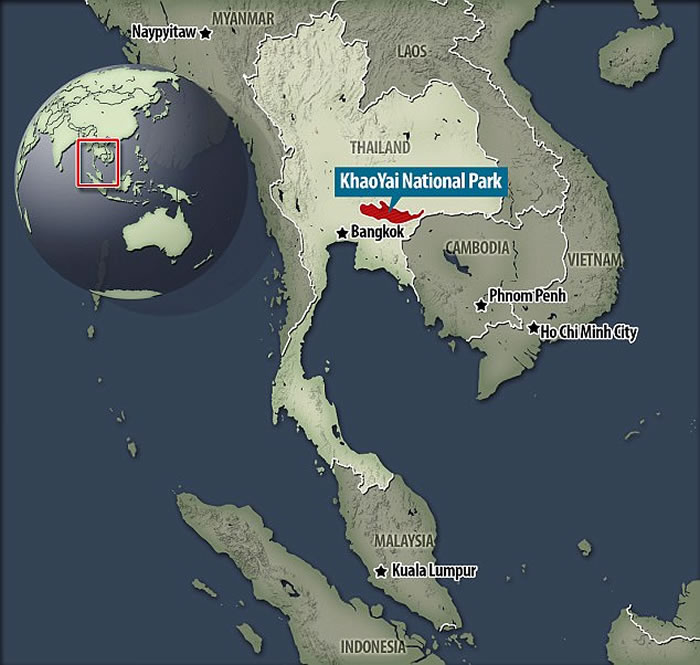 ̩�������������2016���ĵ�4ֻĸ�ϻ���6ֻС�ϻ� ֤ʵ�Ǳ��پ��ֵ�ӡ֧��