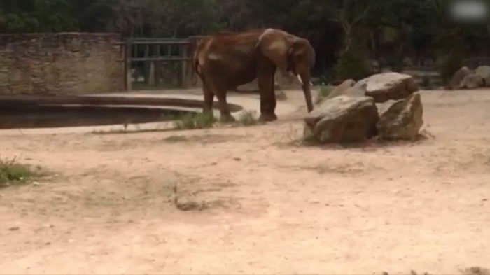 露珀塔看起来非常瘦弱。