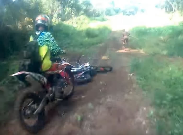 ӡɭ־ƹ˵С Ħгŵõڵ