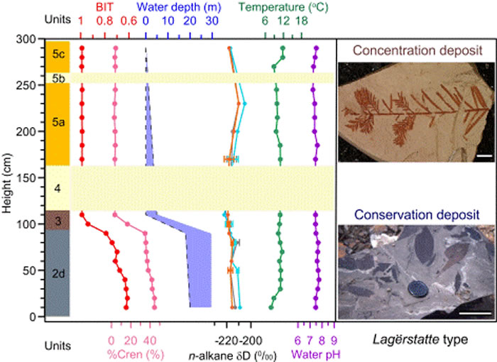Clarkia古湖P-33剖面有机地球化学指标指示的区域和湖泊环境变化。在Unit3层位GDGTs水深指标(BIT和%Cren)指示了一次湖面快速下降事件,而叶