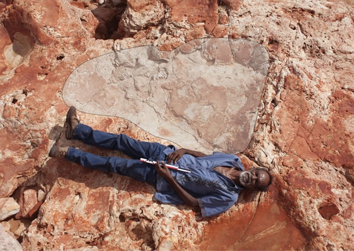 最新发现的恐龙脚印打破了纪录。