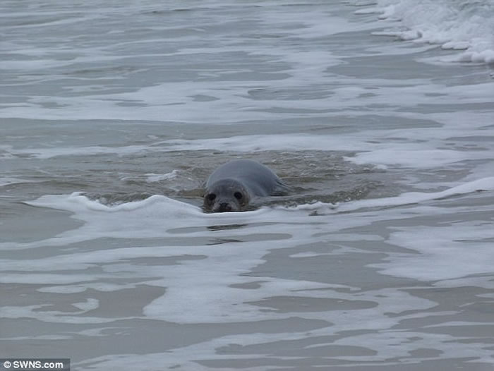 Ӣ�����ֶ�������뵺����С������Ⱥ��ػش�