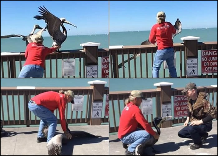 �������ӳɹ��ӽ����죬��ͽ�ְ���׽�����ϡ�