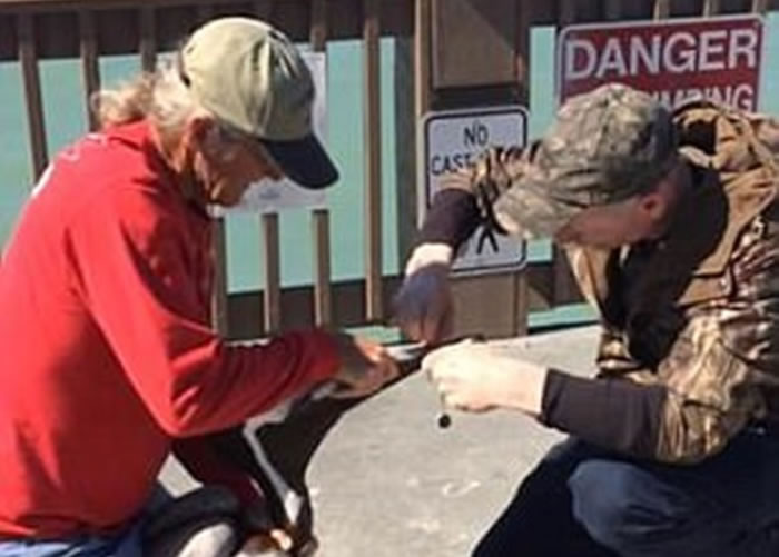 �������Ӳ��±����칥�������ĵ������ɽ���˿��