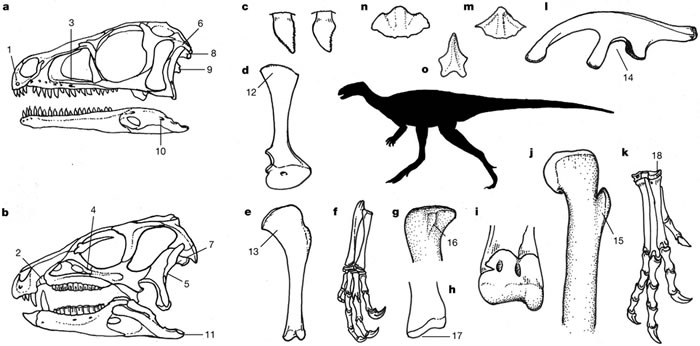 130�������Ŀ������ഫͳ������ս